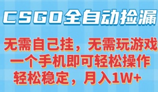 CSGO自动捡漏项目，最新独家玩法，一个手机可操作，新手小白轻松月入1W+，操作简单易上手【揭秘】-百创网